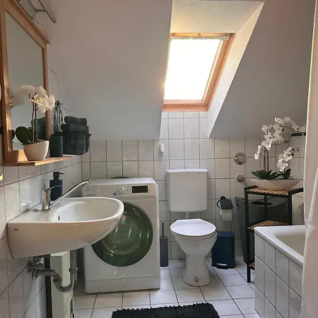 Dachnest Mit Charme